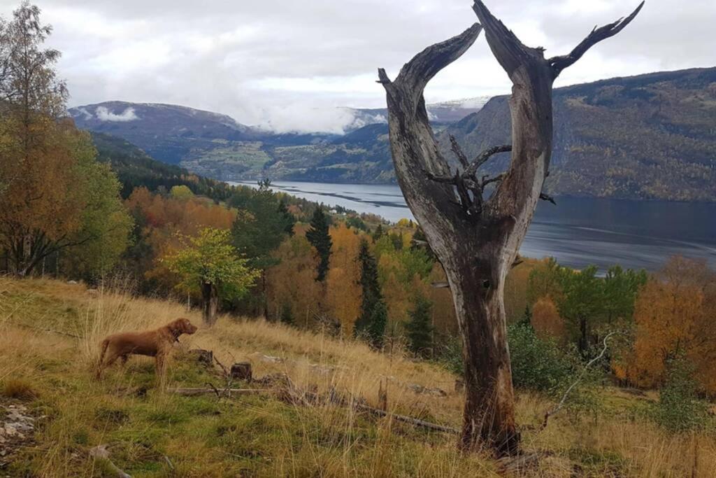 Nordfjordcabins Utvik Exteriör bild